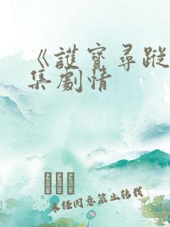 《护宝寻踪》分集剧情