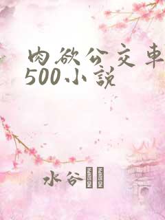 肉欲公交车系列500小说
