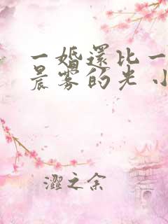 一婚还比一婚高晨雾的光 小说