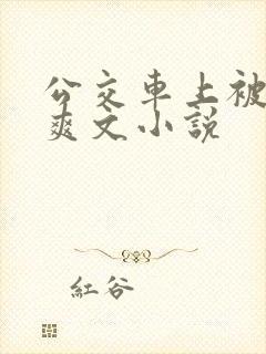 公交车上被强上爽文小说