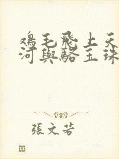 鸡毛飞上天陈江河与骆玉珠相遇第几集
