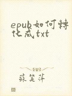 epub如何转化成txt
