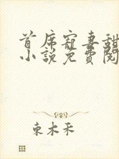 首席宠妻甜蜜蜜小说免费阅读