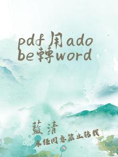 pdf用adobe转word