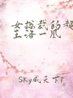 女总裁的超级兵王洛一凰