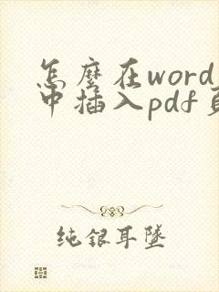 怎么在word中插入pdf页