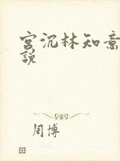 宫沉林知意的小说
