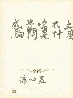 感觉喘不上气来,胸闷是什么原因