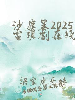 沙尘暴2025电视剧在线观看免费高清版