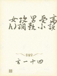 女攻男受高h(h)调教小说