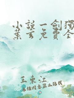 小说一剑独尊·叶玄免费全文阅读一