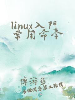 linux入门常用命令