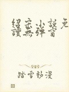 绍宋小说免费阅读无弹窗
