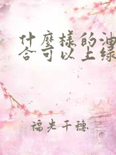 什么样的油电混合可以上绿牌