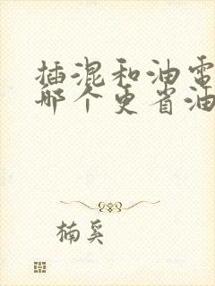 插混和油电混合哪个更省油