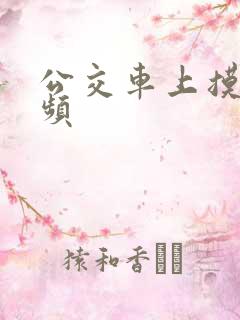 公交车上摸逼视频