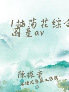 1插菊花综合网国产av