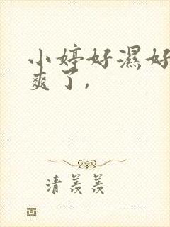 小婷好湿好紧太爽了,