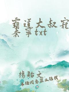 霸道大叔宠甜妻秦宁txt