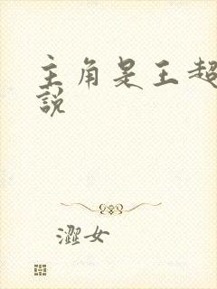 主角是王超的小说