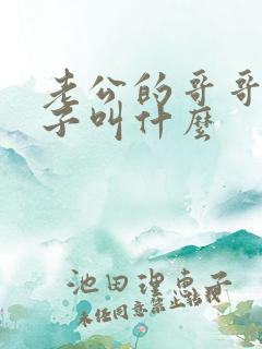 老公的哥哥的儿子叫什么