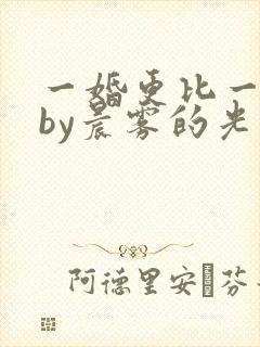 一婚更比一婚高by晨雾的光类似的小说