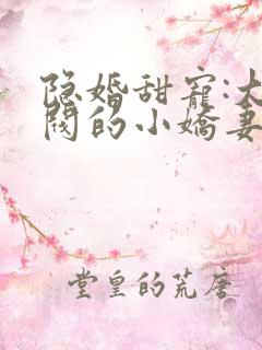 隐婚甜宠:大财阀的小娇妻