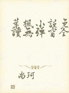 叶枫小说免费阅读无弹窗全文