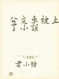 公交车被上高潮了小说