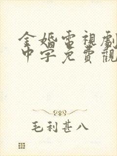 金婚电视剧国语中字免费观看