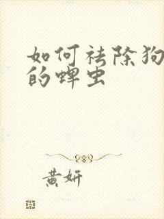 如何祛除狗身上的蜱虫