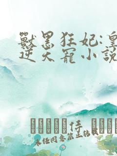 兽黑狂妃:皇叔逆天宠小说免费