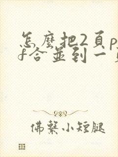 怎么把2页pdf合并到一页