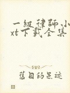 一级律师小说txt下载全集