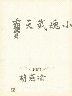 霸天武魂小说免费