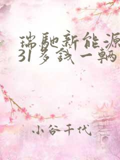 瑞驰新能源ec31多钱一辆