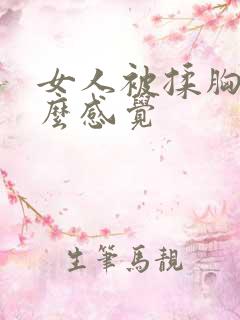 女人被揉胸是什么感觉