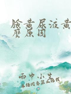 脸黄尿液黄是什么原因