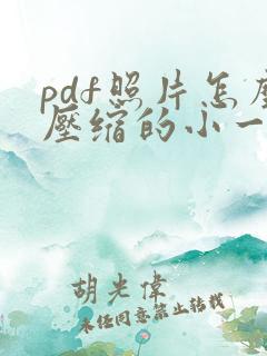 pdf照片怎么压缩的小一点