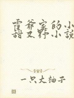 霍爷家的小祖宗甜又野小说免费阅读