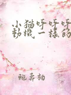 小猫呼呼呼跟发动机一样的声音