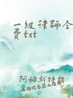 一级律师全文免费txt