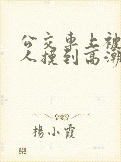 公交车上被陌生人摸到高潮视频