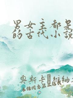 男女主都是穿越的古代小说