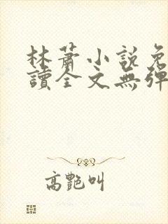 林萧小说免费阅读全文无弹窗