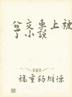 公交车上被乱操了小说