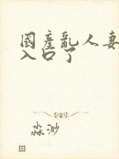 国产乱人妻精品入口了