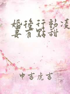 婚后行动凌总追妻有点甜