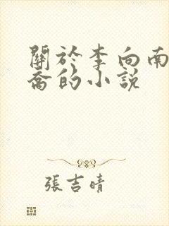 关于李向南林楚乔的小说