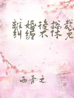 离婚后总裁前夫纠缠不休免费全文阅读